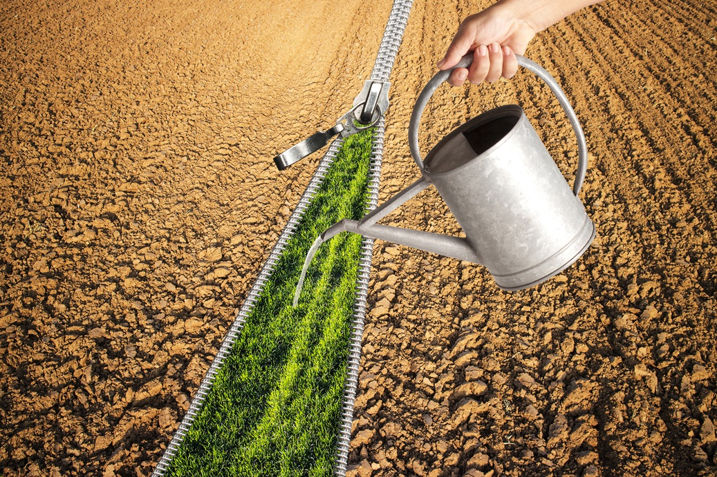irrigation